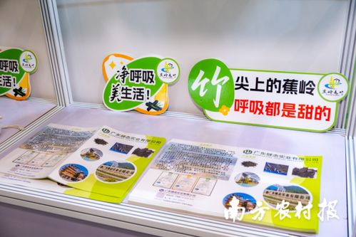 竹炭科技點(diǎn)亮綠色未來 廣東健態(tài)實(shí)業(yè)以 黑金 破局竹業(yè)新賽道